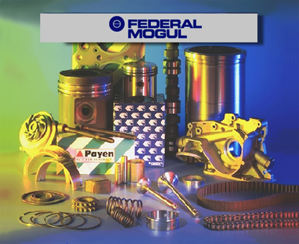 Автозапчасти Federal Mogul (Федерал Могул)